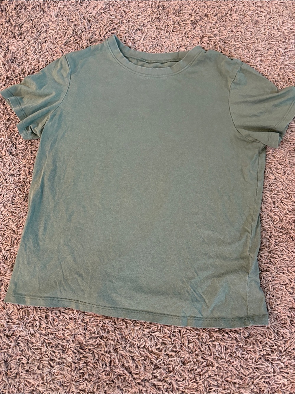 Everlane Short Sleeve Crewneck Tee - Sage